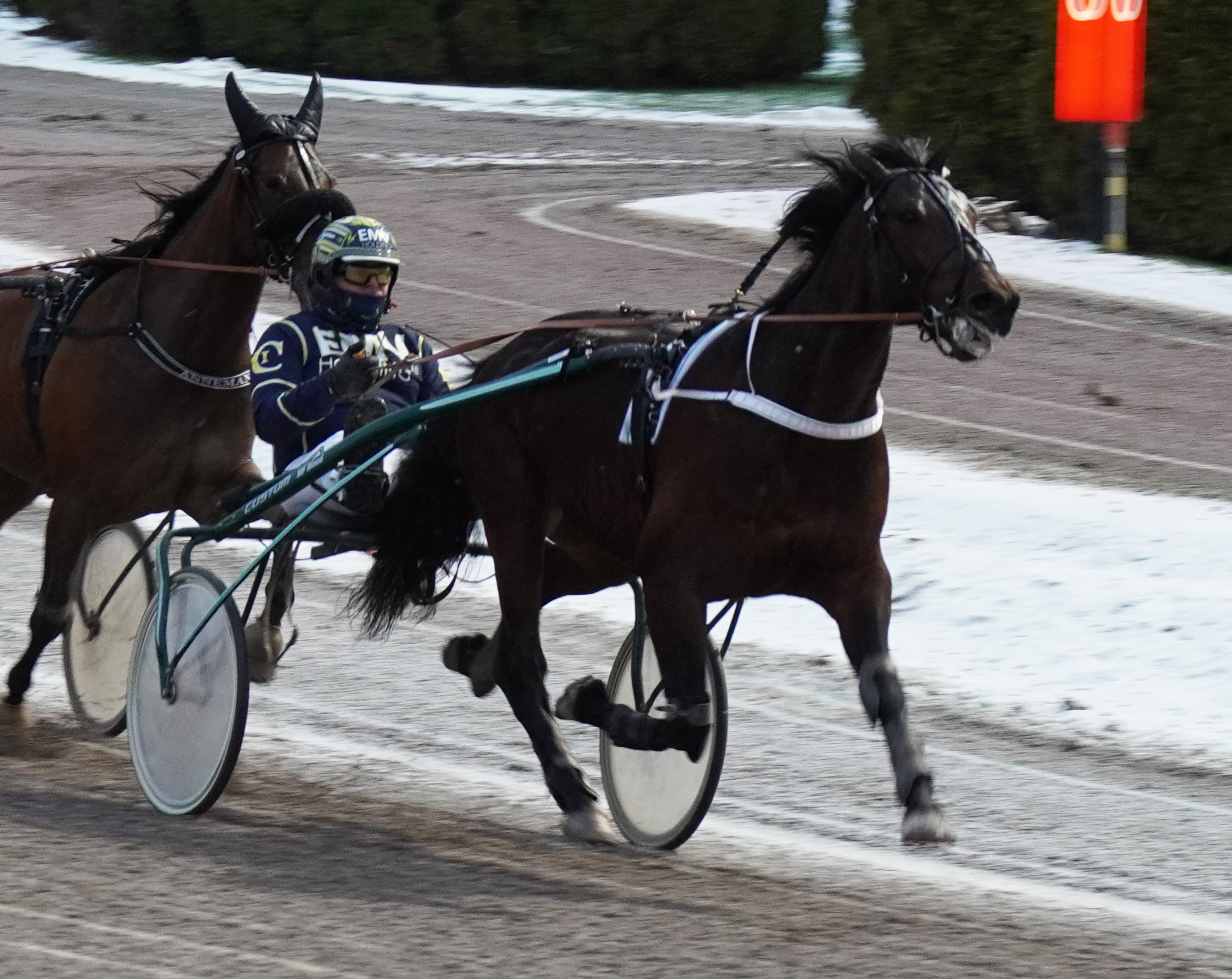 Great Ruler 260121-1